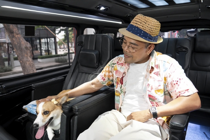 How to get around in Thailand with dogs?