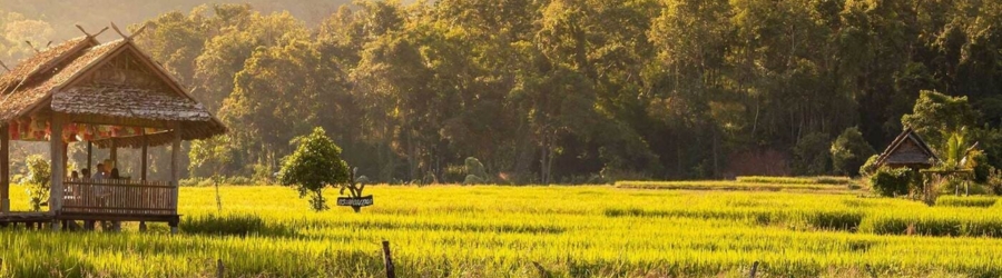 5-day trekking tour through the hill tribes of northern Thailand