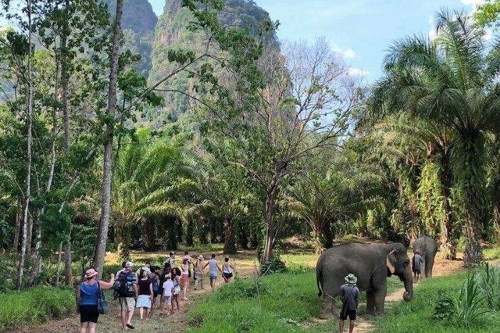 Khao Sok National Park