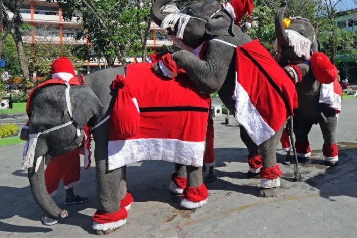 Thailand celebrates Christmas with many fun activities