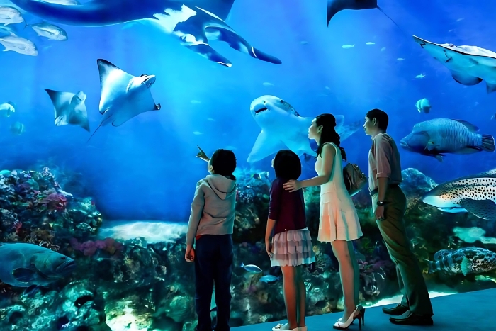 Kids can explore the aquatic world at SEA LIFE Bangkok Ocean World
