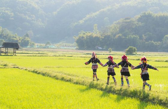 How To Discover Ethnic Groups In Thailand? An Authentic Cultural Journey