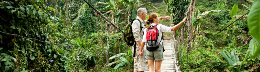 Private tours in Thailand - Top local travel agencies to know 