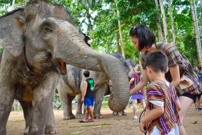 What to do with children in southern Thailand? Visit an elephant sanctuary in Koh Samui