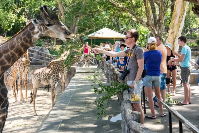 Discover Khao Kheow Open Zoo with children in Pattaya