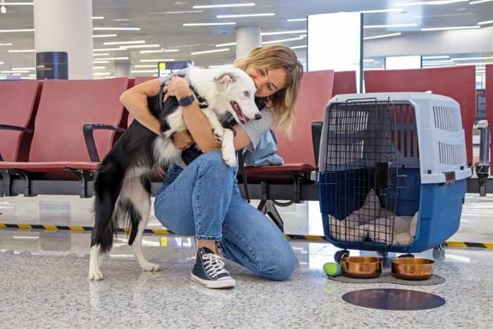 Pet quarantine in Thailand