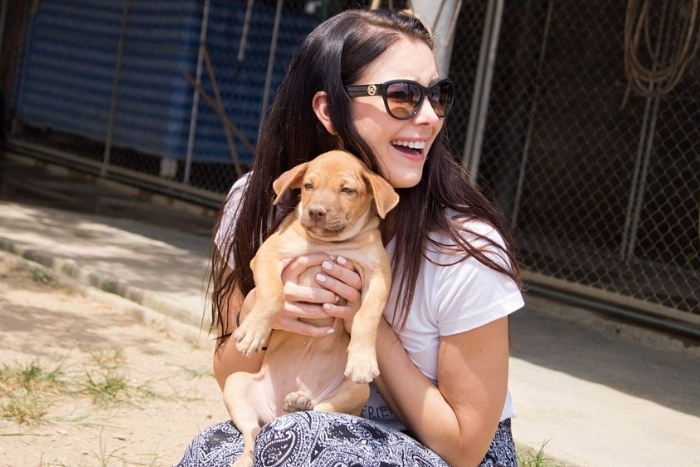 Age requirements and allowed pet species