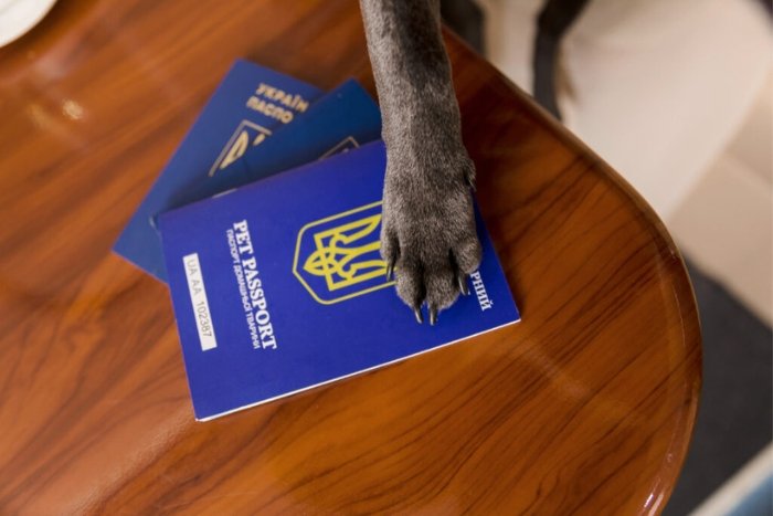Make sure to carefully check the documents required under Thailand&rsquo;s entry regulations