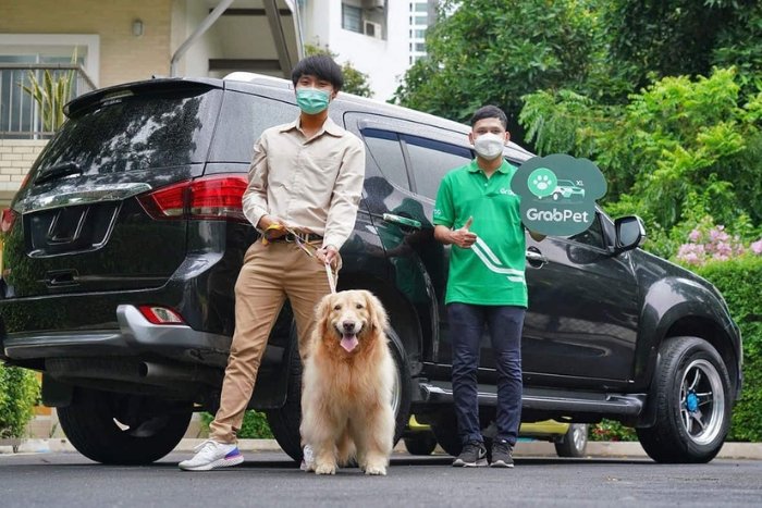 You can book a Grab to get around Thailand easily with your dog