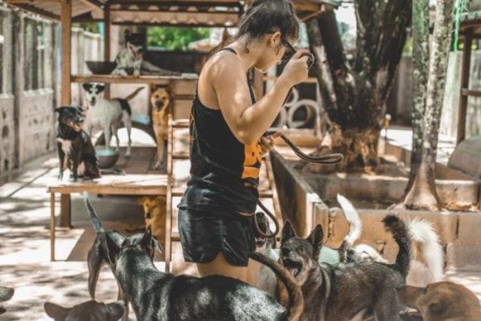 Spending time at animal rescue centers is an ideal activity for animal lovers