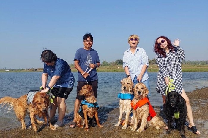 Discover fun beach activities to enjoy with your dog in Pattaya!