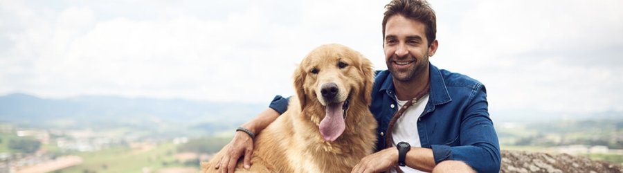 How to travel to Thailand with your dog? Here are some useful tips to save!