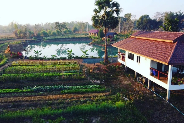 You can try a farm stay in Thailand, a unique type of accommodation