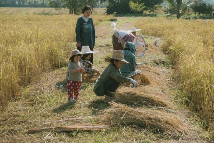 Visiting an eco-farm in Thailand is a unique travel experience