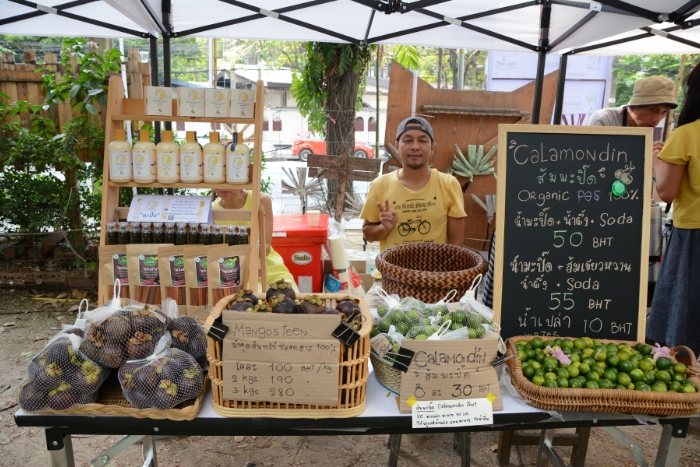 Sustainable and eco-friendly workshops, one of the best activities during a farm weekend in Thailand