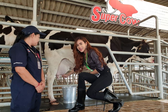 Farm Chokchai, a destination to visit during your farm stay in Thailand