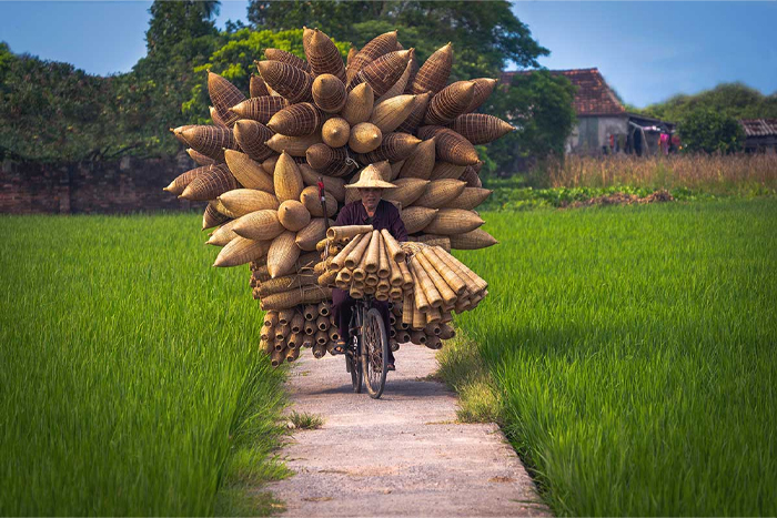 Thu Sy Fish Trap Craft Village - A visiting guide from Hanoi