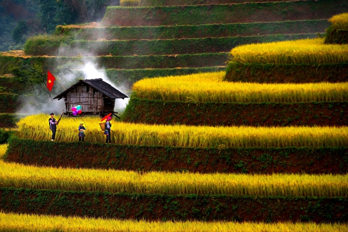 Where to go in Vietnam 2 weeks in January?