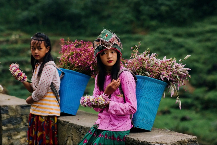 Visiting Northern Vietnam in January is a very interesting option to consider.