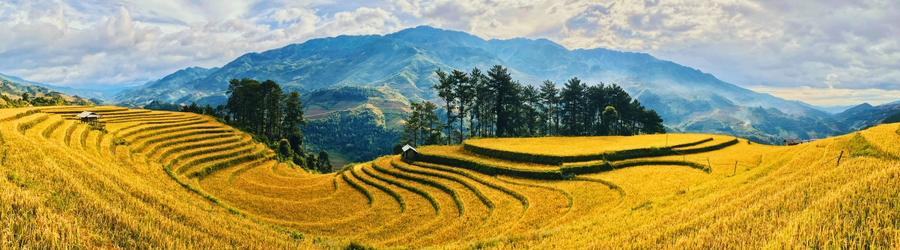 2 weeks in Vietnam in November