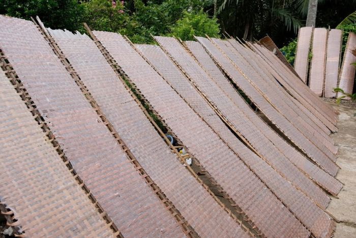 A visit to a traditional banh trang workshop