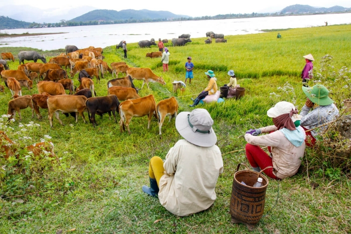 Why discover the Central Highlands&lrm; of Vietnam in 15&lrm; days?