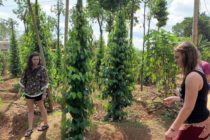 December is the best time to explore many activities in the Central Highlands Vietnam in 15 days