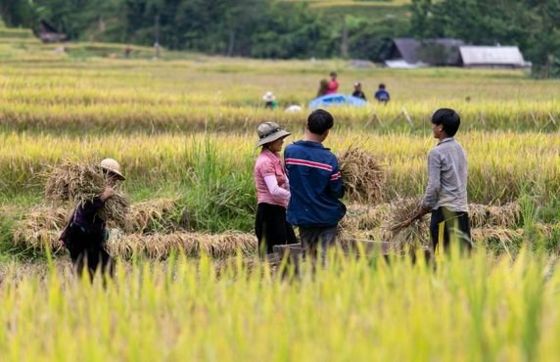 Opinion By Roussel On The 2-day Vietnam Farm Tour