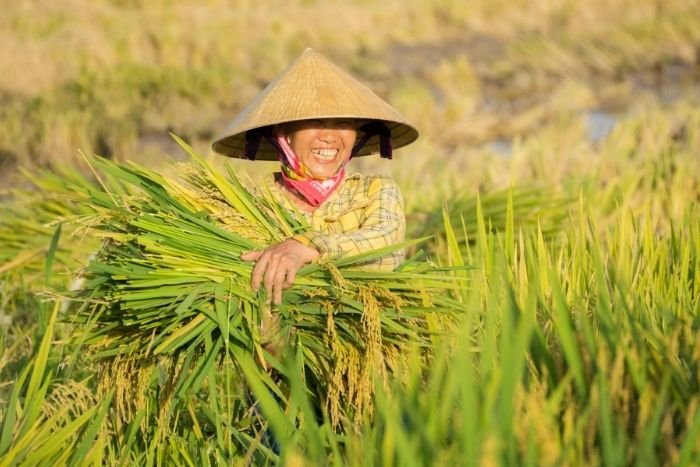 Taking part in farming activities offers a different way to discover Vietnam