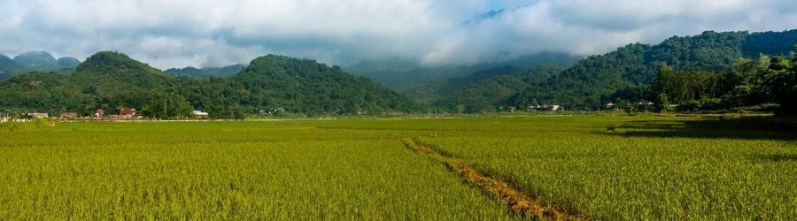 A 2-day farm tour in Vietnam for an insight into everyday rural life