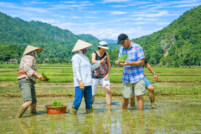 Rice cultivation activities with local inhabitants
