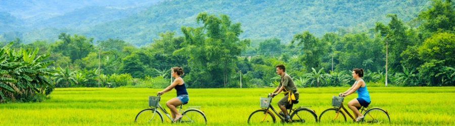 2-week agricultural and cultural itinerary in Vietnam