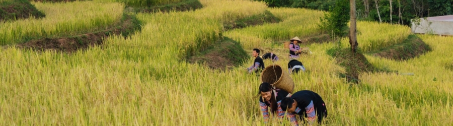 14 Days in Vietnam and Laos - Things to Do and to See