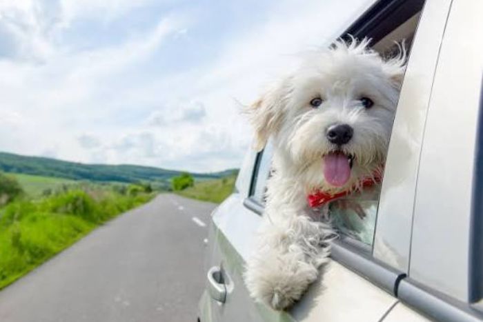 Outdoor activities offer a different way to travel