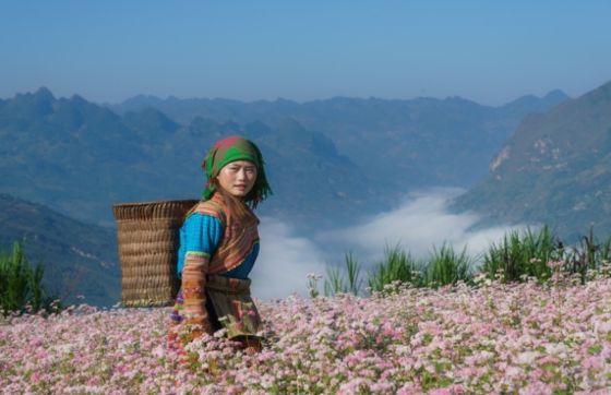 2-week Vietnam Itinerary With Ha Giang Loop - Day By Day Guide