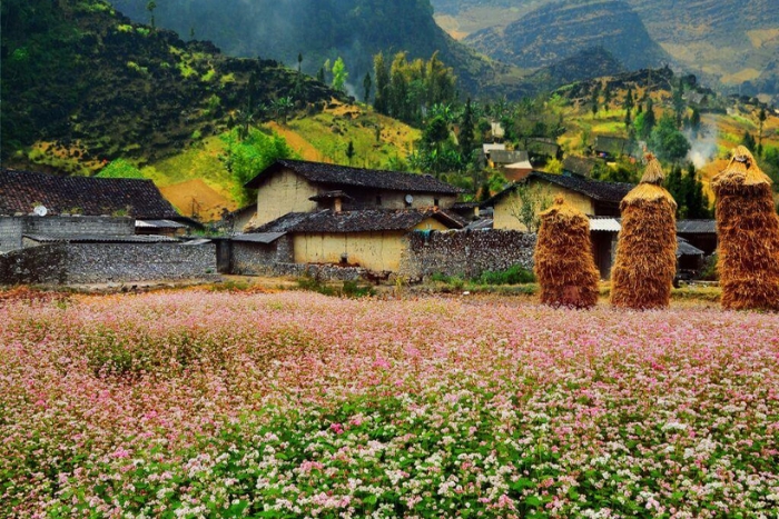 Ha Giang in October