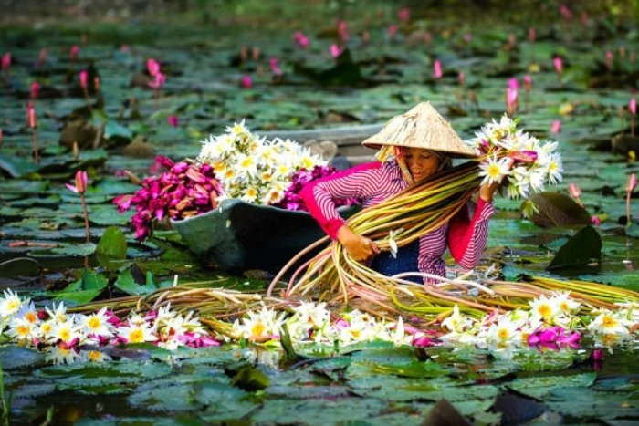 What is the best time to visit the Mekong Delta?