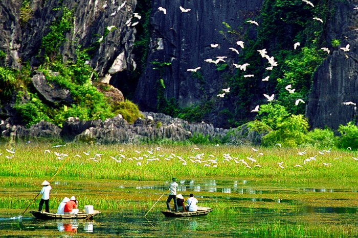Bamboo boat ride in Van Long Wetland - one of the most peaceful things to do in Vietnam in January