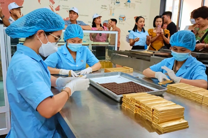 Exploring bean-to-bar steps at Cacao Nam Truong Son Company