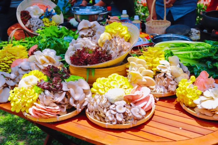 A vibrant harvest table at Mang Lin Mushroom Village