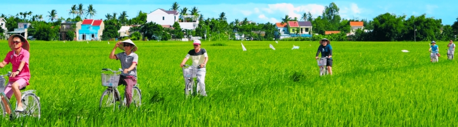 3-day agricultural travel in Vietnam