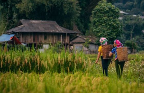 3 Weeks In Vietnam For Seniors - Which Itinerary To Choose?