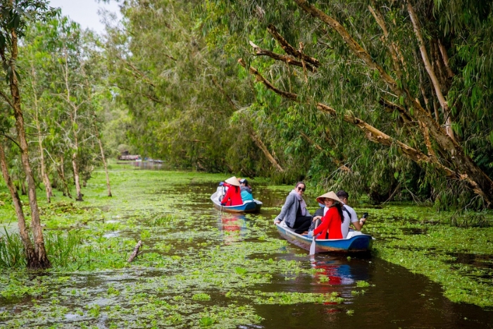 A sampan excursion through Tra Su&rsquo;s cajeput forest, in the heart of the Mekong Delta