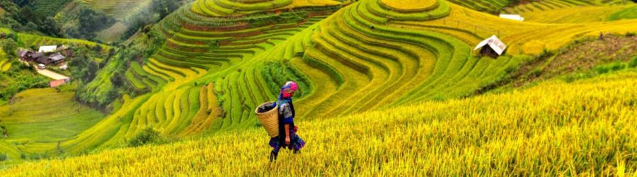 Vietnam family holidays 21 days - Ultimate travel guide for 3 weeks  