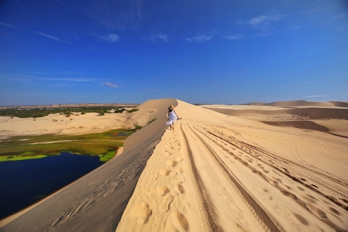 White Sand Dunes
