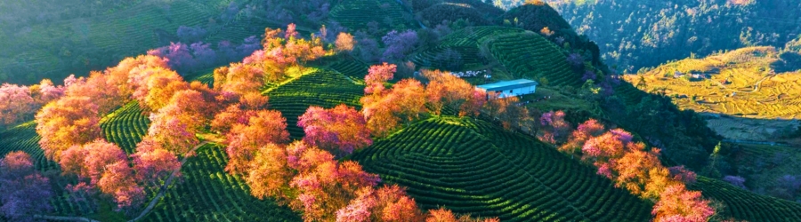 Top 5 destinations to visit in Vietnam before Tet