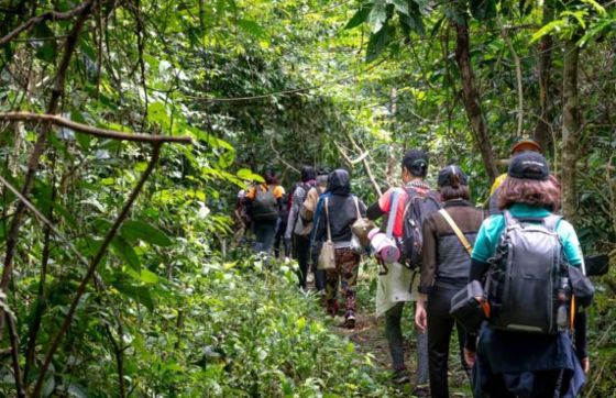 Ba Be Itinerary 5 Days In Vietnam: A Review By The Martine Family