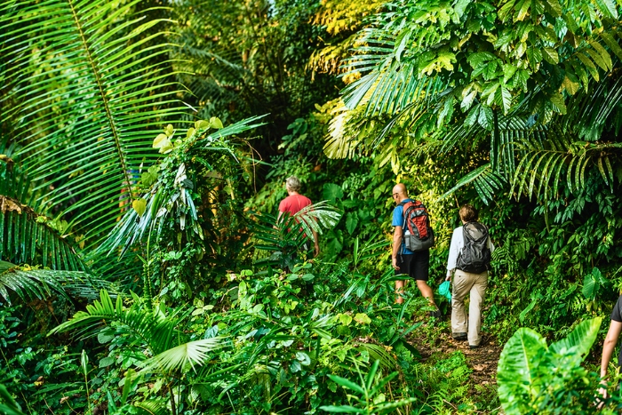 What to do at Ba Be Lake ? Go trekking in Ba Be National Park