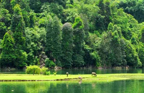 Take A Trip To Visit Ba Be National Park