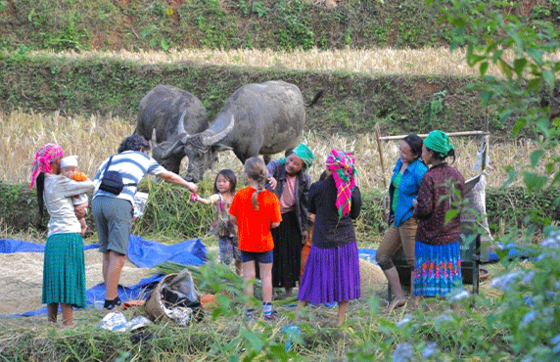 Top 09 Best Things To Do In Ba Be Lake - Bac Kan, Vietnam